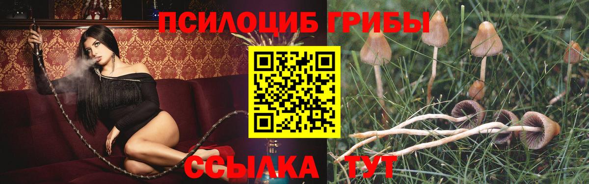Галлюциногенные грибы GOLDEN TEACHER Апрелевка
